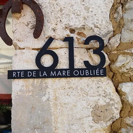 Couette-café Rabbit House - Le Singleyrac