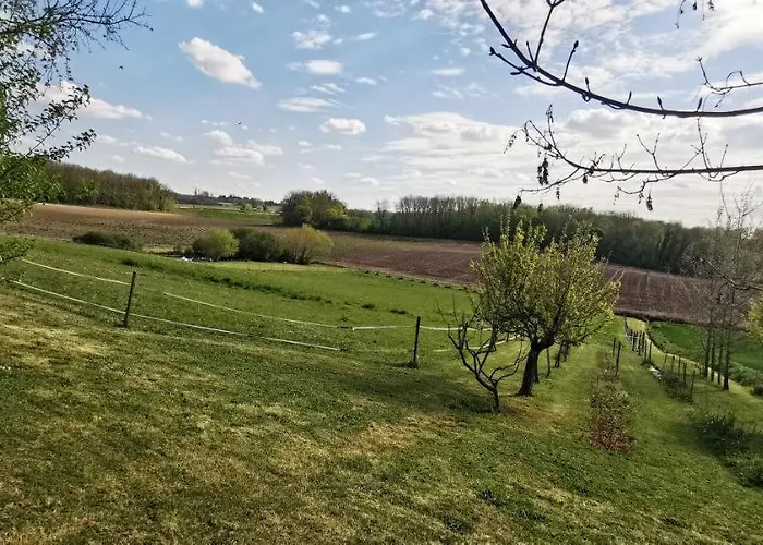 Rabbit House - Le 3*