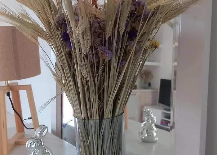 Oda ve Kahvaltı Rabbit House - Le Singleyrac