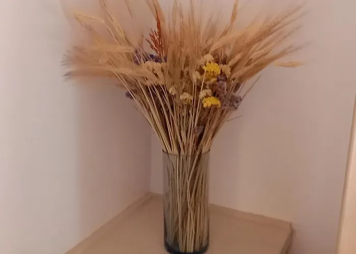 Oda ve Kahvaltı Rabbit House - Le 3*