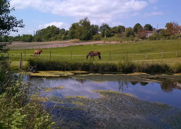 Rabbit House - Le Singleyrac